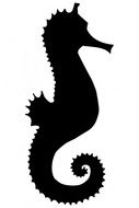 seahorse silhouette on white background