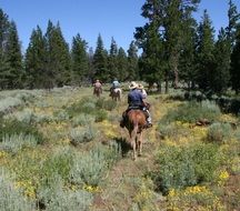 hikers on the trail