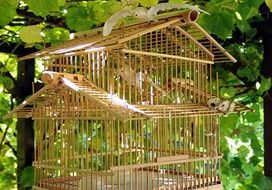 Birdcage made of the bamboo in Asia