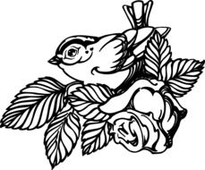 Black and white bird and rose clipart