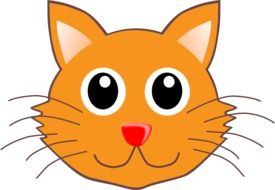 Cat Head Portrait as a drawing