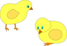 two yellow chickens as an illustration
