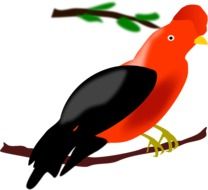 Clip art of Exotic Tropical Red bird