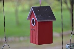 House Birds