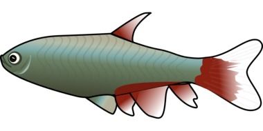 painted green trout