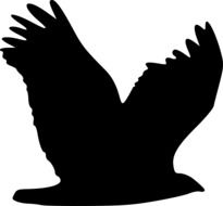 silhouette of a flying eagle