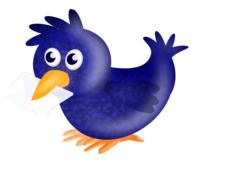 Carrier Pigeon drawing