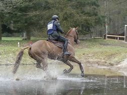 hunting with horse
