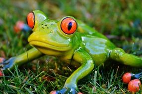 ceramic figure of a frog on the green grass