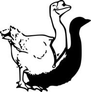 Goose drawing
