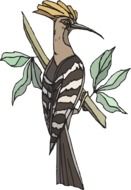 clipart of hoopoe on a branch