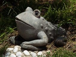 ceramic toad in the garden