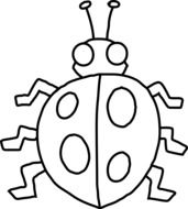 painted ladybug in coloring book