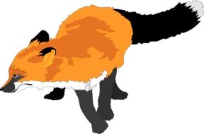 Fox, wild Animal with Orange fur, illustration