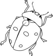 colorless image of a ladybug