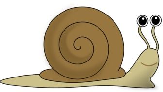 Snail Funny Eyes drawing