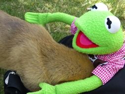 Kermit Frog and Young Dog