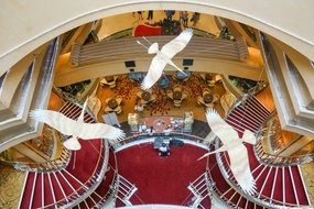 interior with birds on a cruise ship