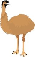 drawing of an emu