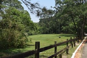 ecologically pure park zone
