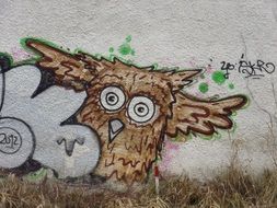 beautiful graffiti of owl on the wall