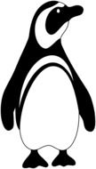 black and white penguin drawing