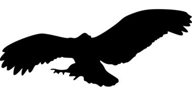 black silhouette of a bird of prey