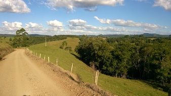 soil Road on Field near Forest at summer