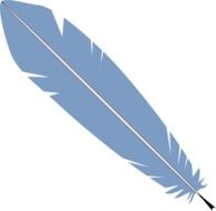 painted blue feather on a white background