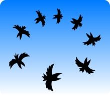 clipart of Black crows flock