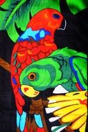 drawing of colourful loris
