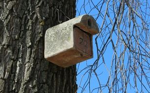 Aviary Bird Feeder