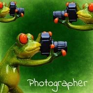 green ceramic frog photographer