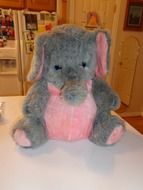 elephant like a soft toy