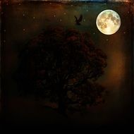raven against the background of the full moon