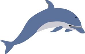 Dolphin Leaping vector drawing