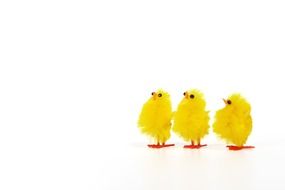 soft chickens on the white background