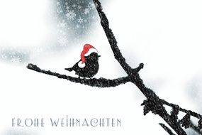 christmas greeting card with a bird