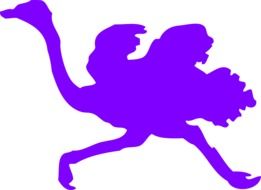 running Ostrich, purple silhouette