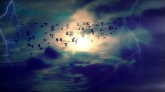 Migratory Birds in flight in the dramatic sky