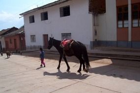 horseback riding in Peru