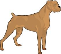 Brown boxer dog clipart