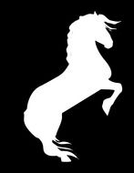 white horse silhouette on black background