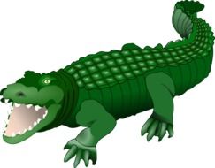 graphic image of a green crocodile