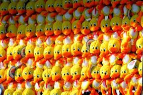 yellow plush ducklings on a shop window