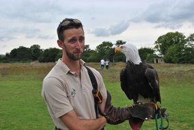 Eagle Falconer Bird