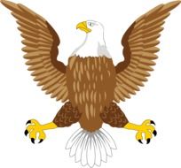 Bald Eagle National Symbol drawing
