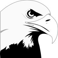 aggressive Eagle Bird as a drawing