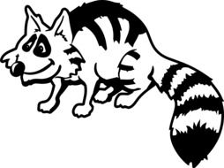 Black and white racoon as a clipart