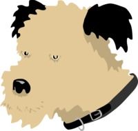 drawing of a domestic dog